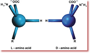 Amino acids!